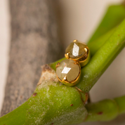 14k Solid Gold, Yellow Diamond Studs, Rose Cut Diamond Earring, Minimalistic Jewelry, 3 Prong Stud, Small Studs, Mother's Day Gift